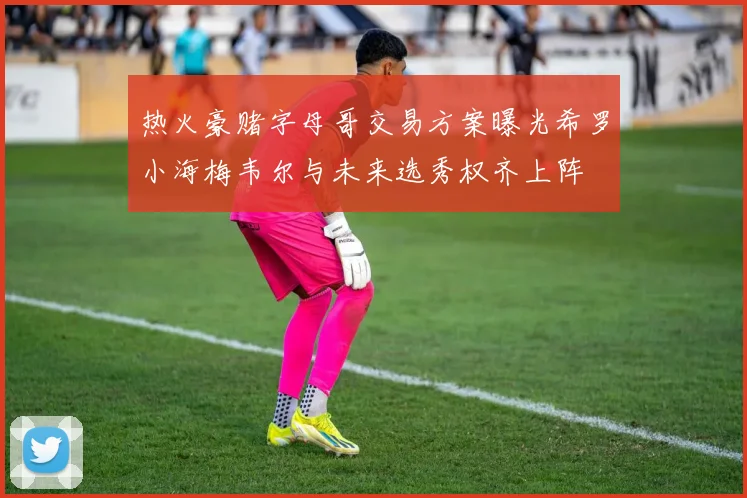 热火豪赌字母哥交易方案曝光希罗小海梅韦尔与未来选秀权齐上阵